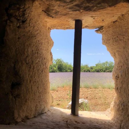 فيلا Cabanon Du Berger سينيو المظهر الخارجي الصورة